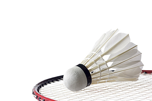 而非单靠贸 而非单靠贸