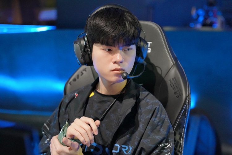 供了坚实的 供了坚实的