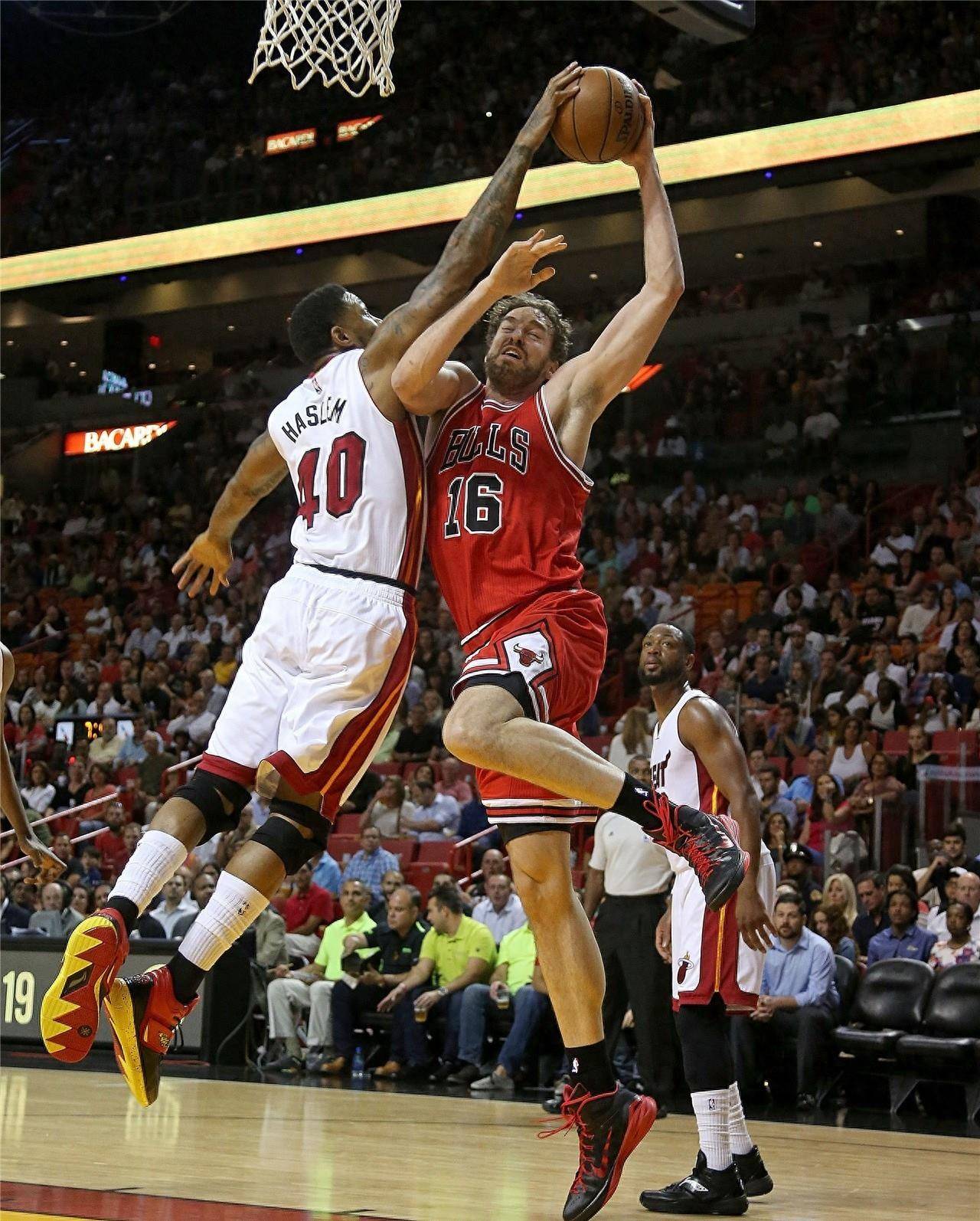 作为球迷 作为球迷